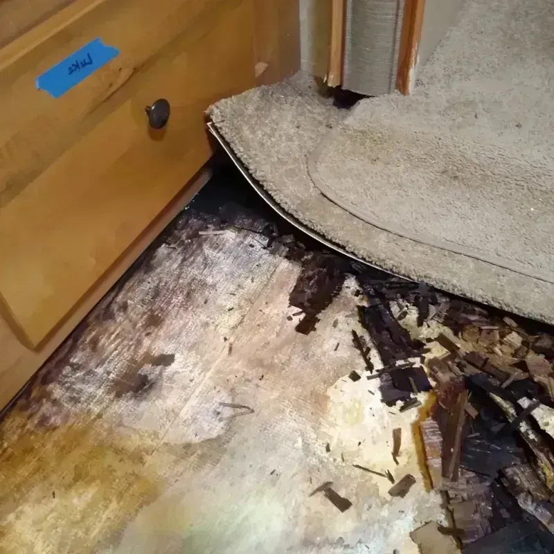 Wood Floor Water Damage in Malden, MO